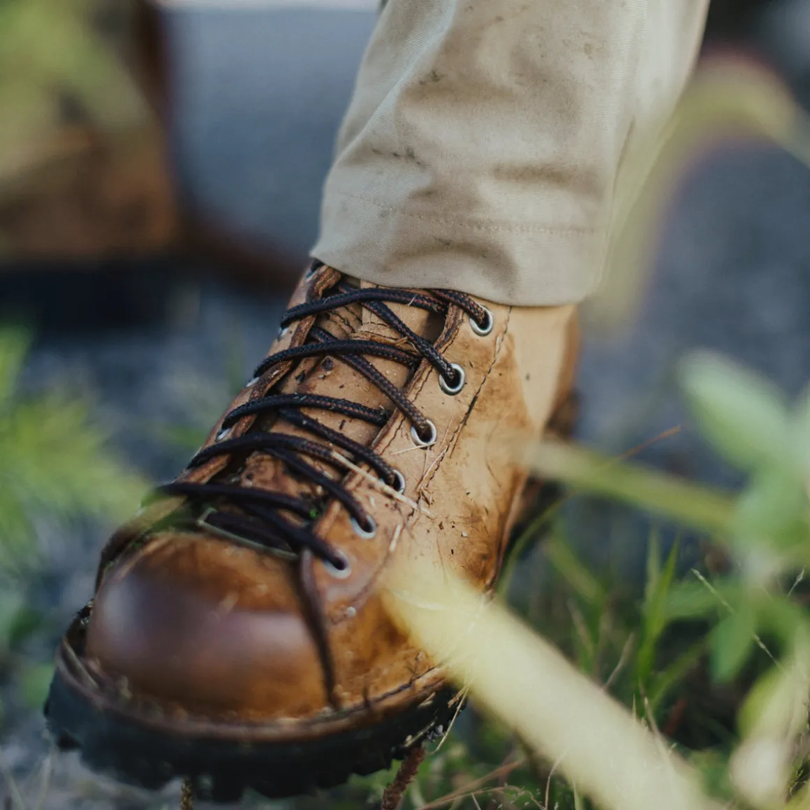Online Danner Elk Hunter Brown