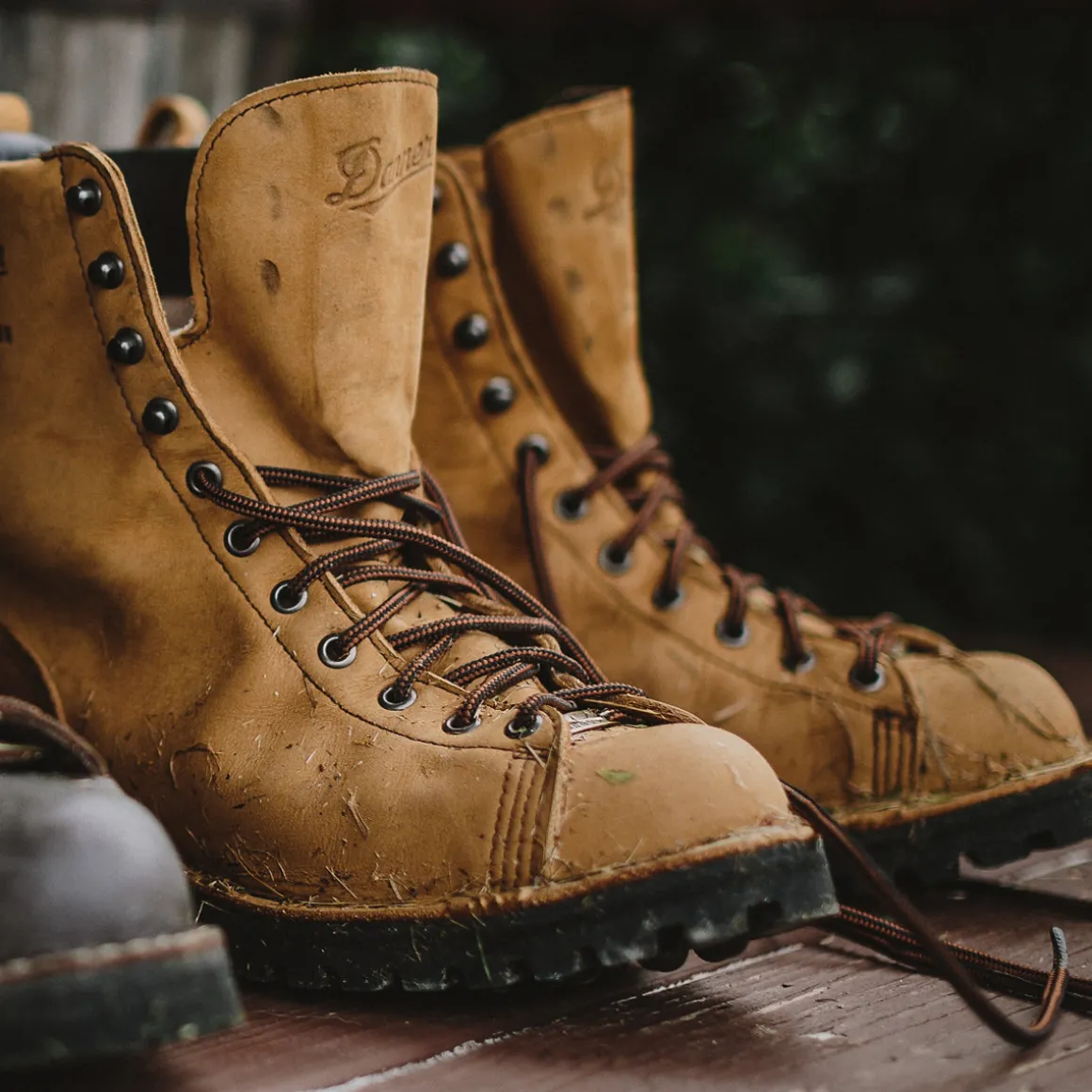 Online Danner Elk Hunter Brown
