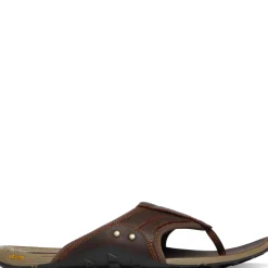 Shop Danner Lost Coast Sandal GrizzlyBrown/LoamBrown