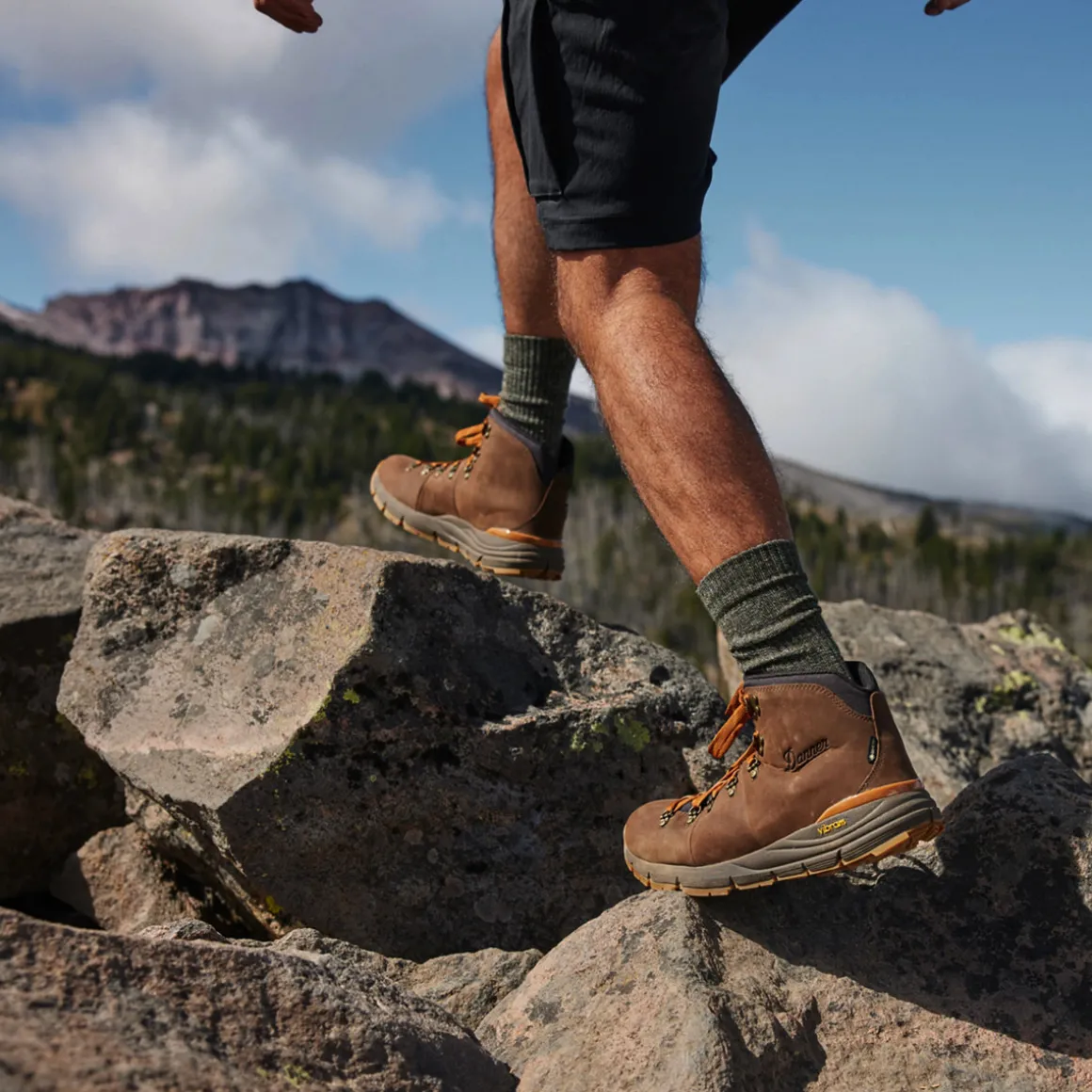 Fashion Danner Mountain 600 Leaf GTX LoamBrown/GlazedGinger