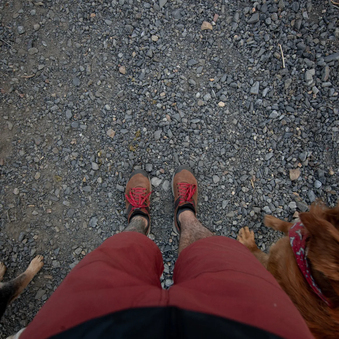 Best Sale Danner Trail 2650 Brown/Red