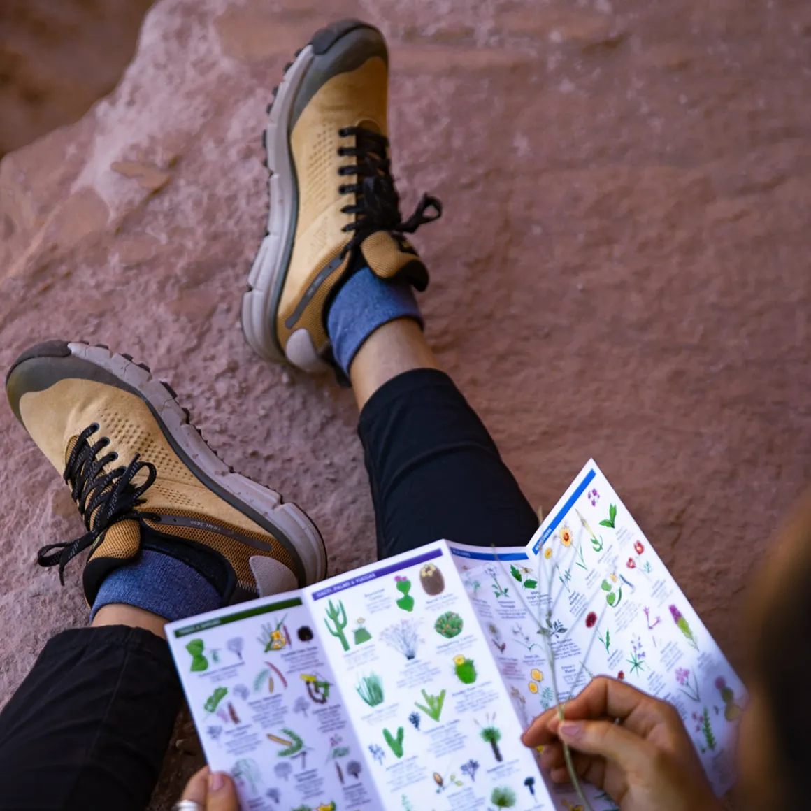 New Danner Trail 2650 GTX PrairieSand/Gray